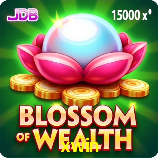 Interface Premium xwin